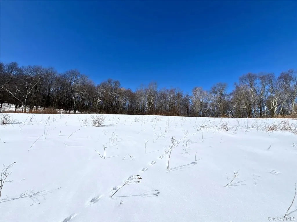 Lot 42 Hamden Hill Road Hamden NY 13782