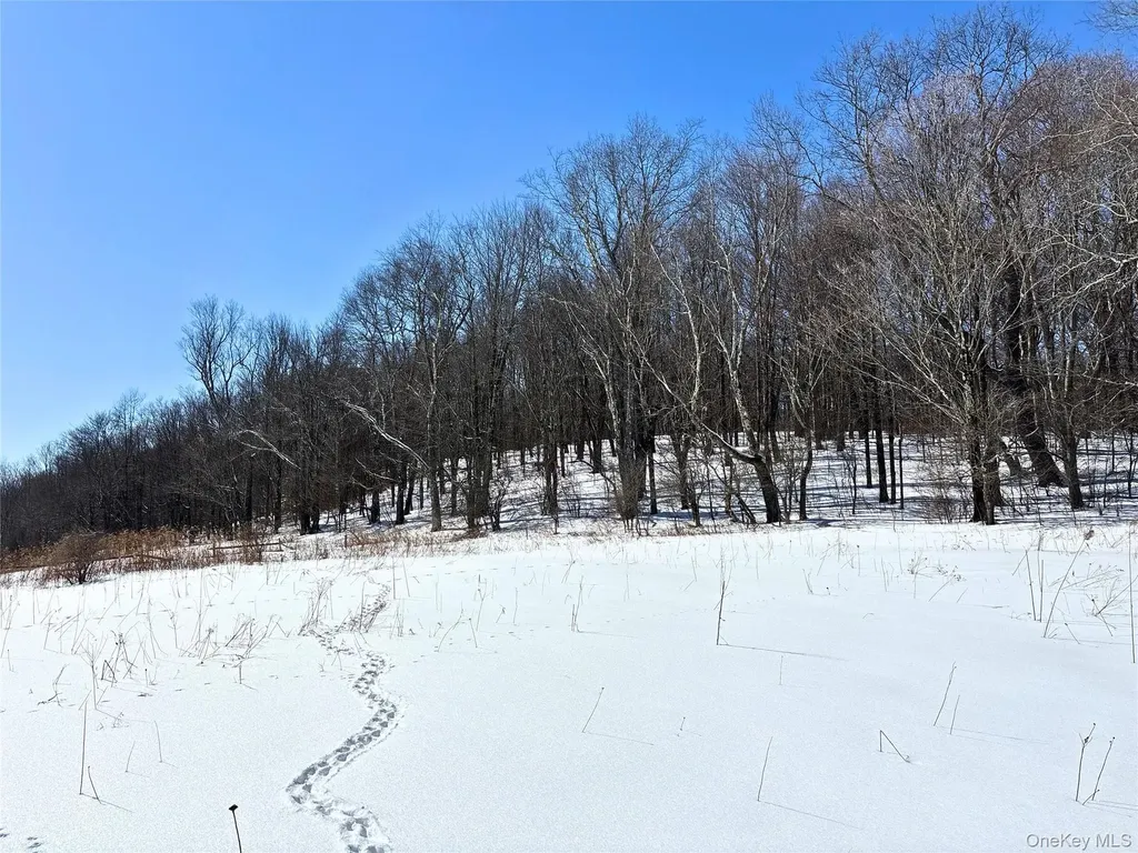 Lot 42 Hamden Hill Road Hamden NY 13782