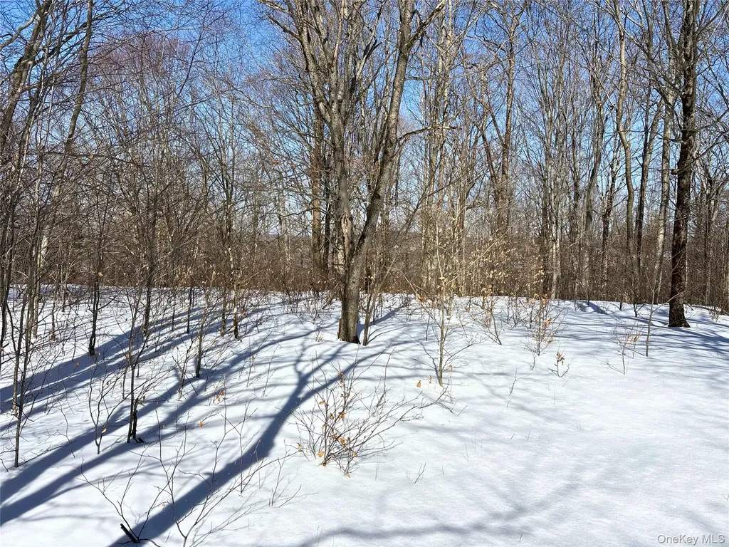 Lot 42 Hamden Hill Road Hamden NY 13782