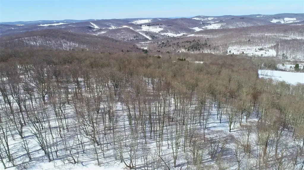 Lot 42 Hamden Hill Road Hamden NY 13782