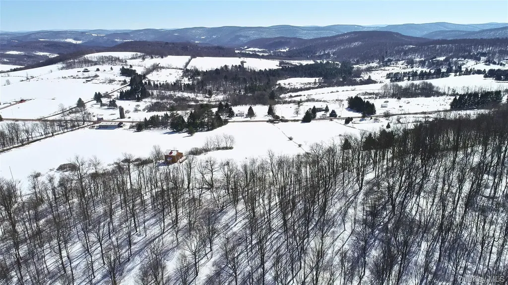 Lot 42 Hamden Hill Road Hamden NY 13782