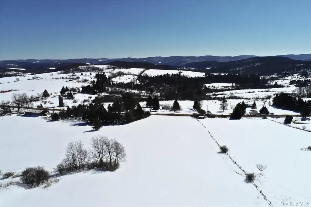 Lot 42 Hamden Hill Road Hamden NY 13782