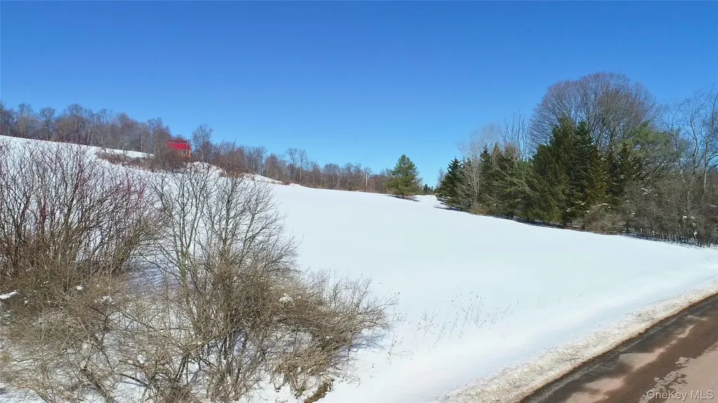 Lot 42 Hamden Hill Road Hamden NY 13782