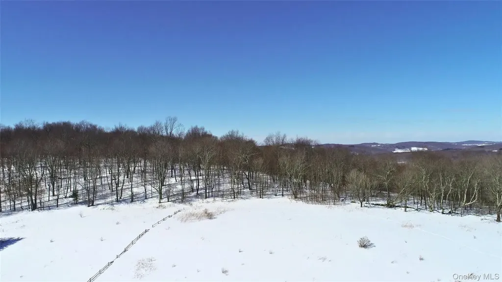 Lot 42 Hamden Hill Road Hamden NY 13782