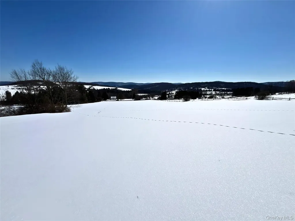 Lot 42 Hamden Hill Road Hamden NY 13782