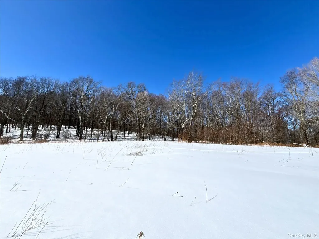 Lot 42 Hamden Hill Road Hamden NY 13782