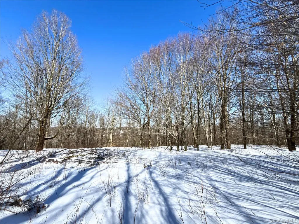 Lot 42 Hamden Hill Road Hamden NY 13782