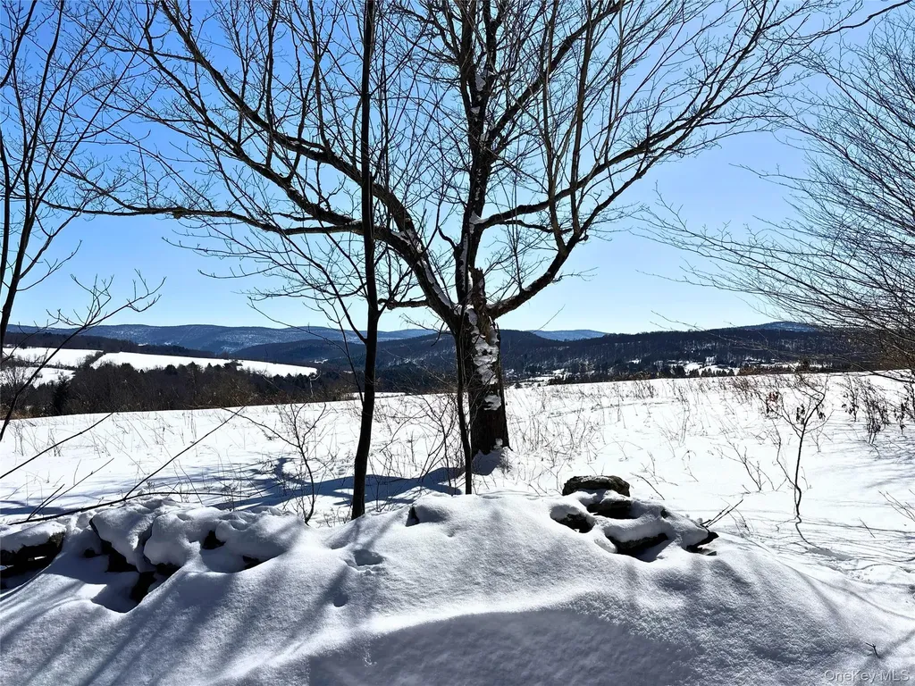 Lot 42 Hamden Hill Road Hamden NY 13782