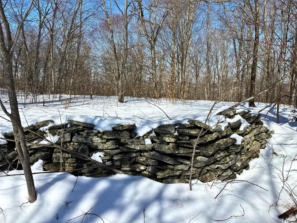 Lot 42 Hamden Hill Road Hamden NY 13782