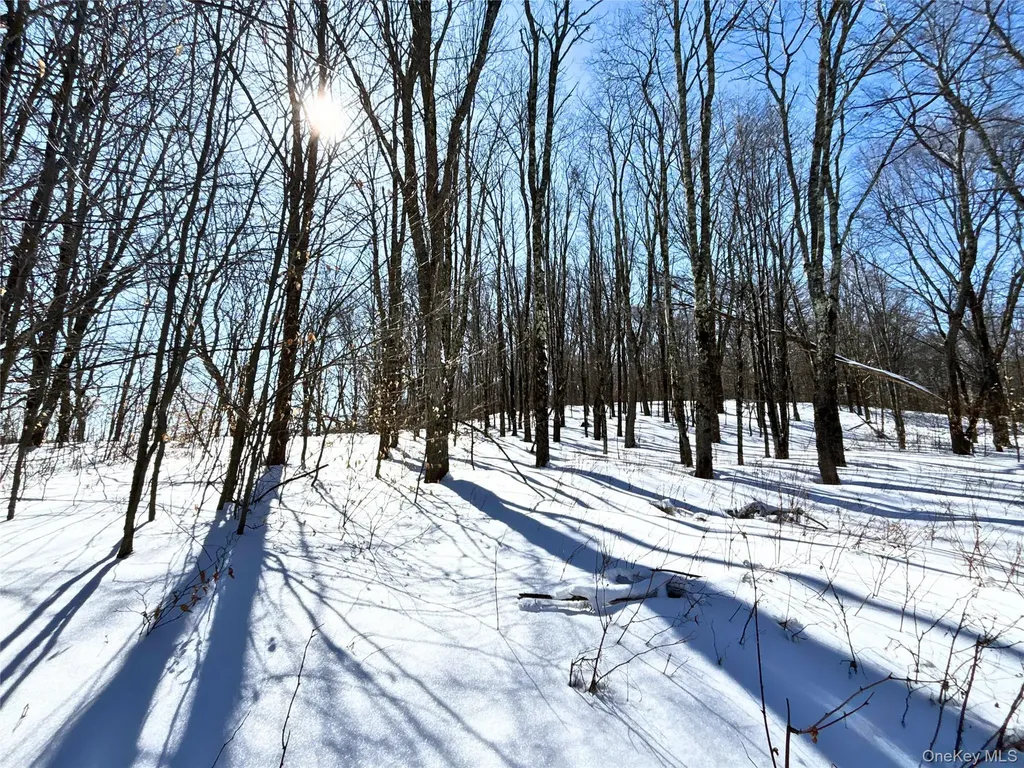 Lot 42 Hamden Hill Road Hamden NY 13782