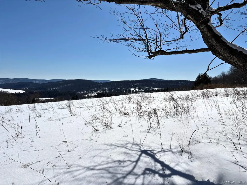 Lot 42 Hamden Hill Road Hamden NY 13782