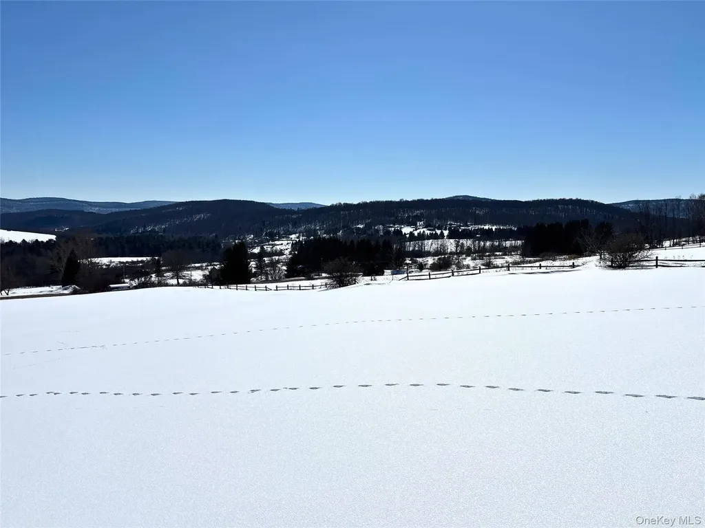 Lot 42 Hamden Hill Road Hamden NY 13782
