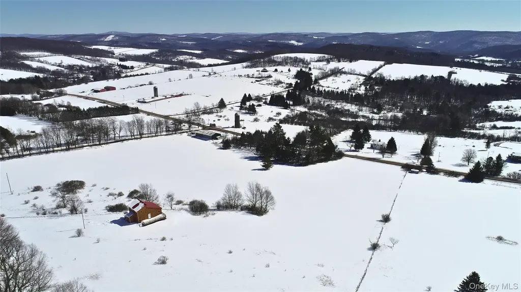 Lot 42 Hamden Hill Road Hamden NY 13782
