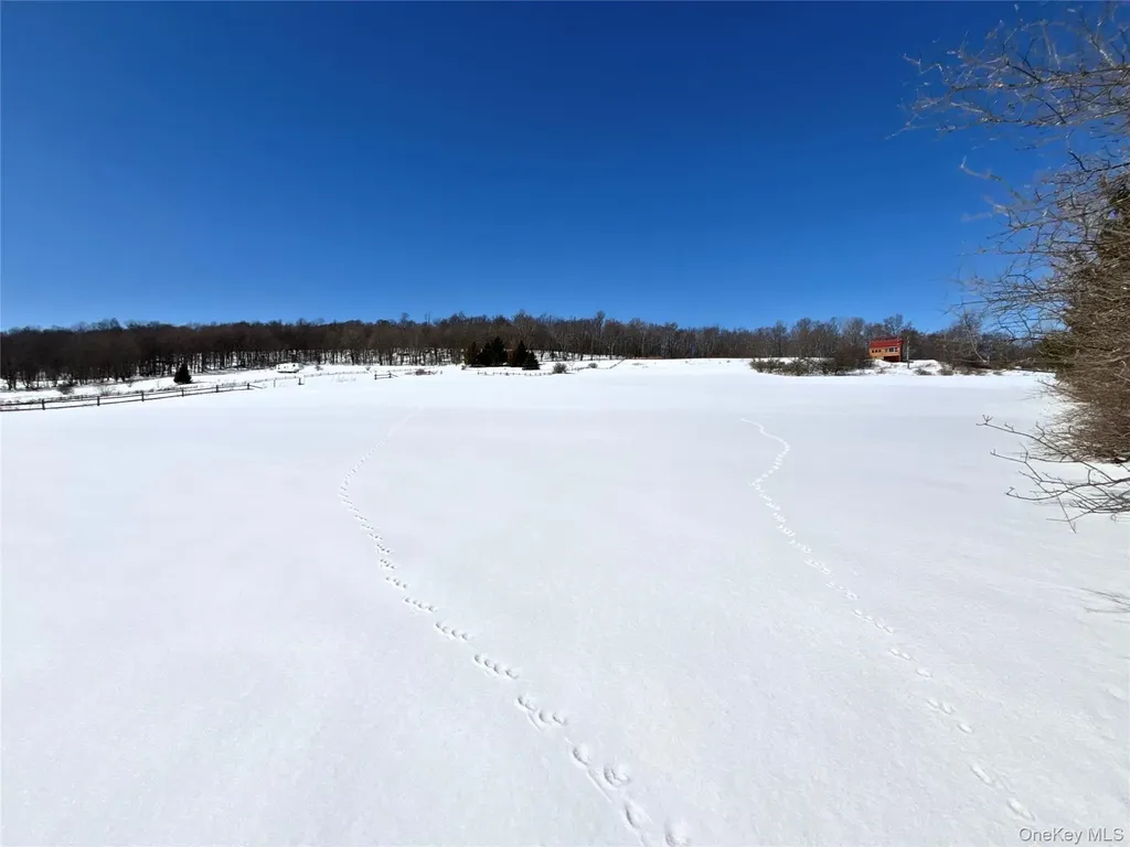 Lot 42 Hamden Hill Road Hamden NY 13782