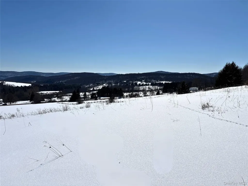 Lot 42 Hamden Hill Road Hamden NY 13782