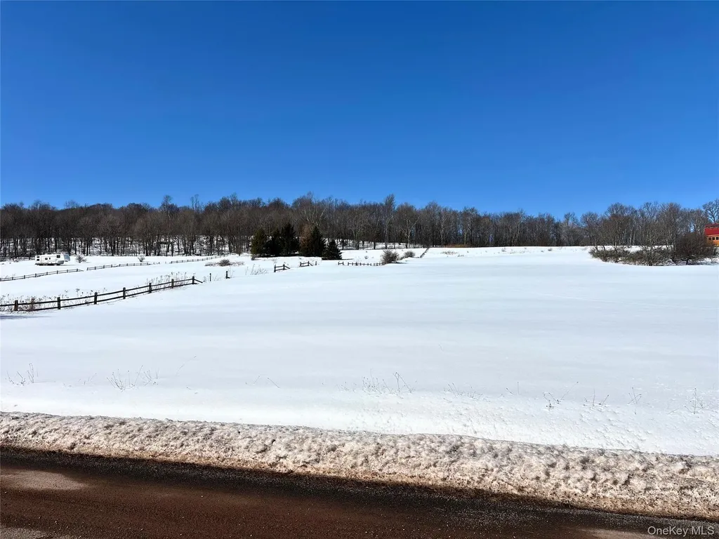Lot 42 Hamden Hill Road Hamden NY 13782