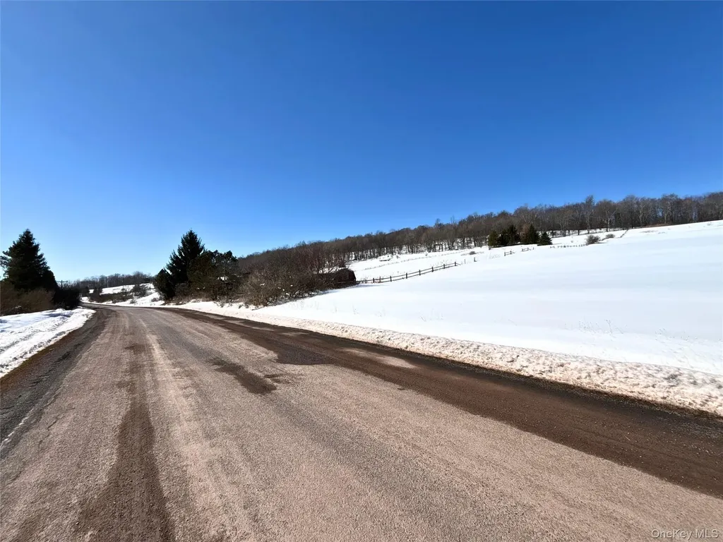 Lot 42 Hamden Hill Road Hamden NY 13782