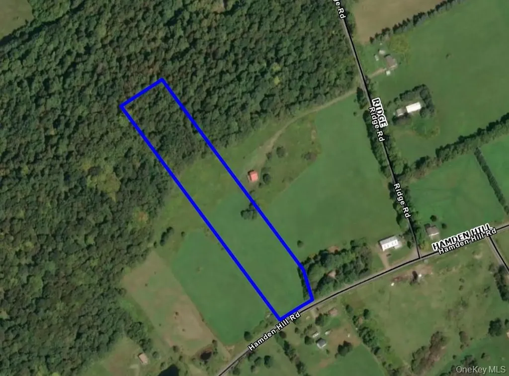 Lot 42 Hamden Hill Road Hamden NY 13782