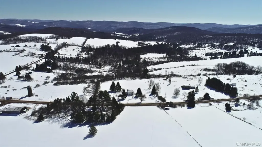 Lot 42 Hamden Hill Road Hamden NY 13782