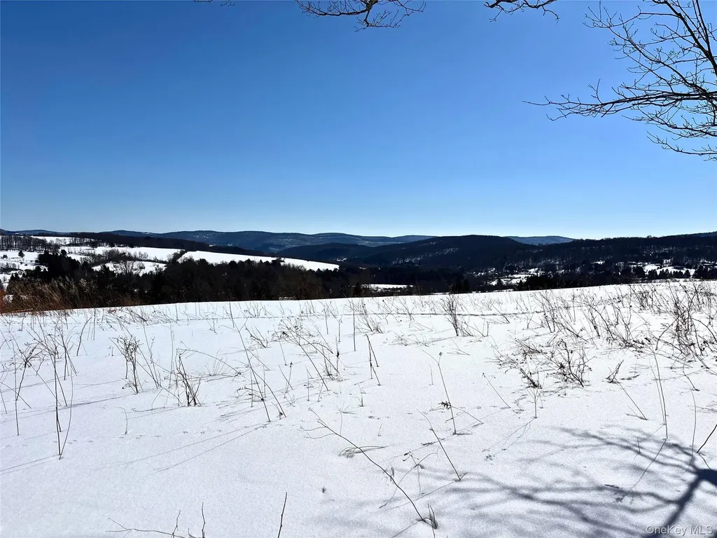 Lot 42 Hamden Hill Road Hamden NY 13782