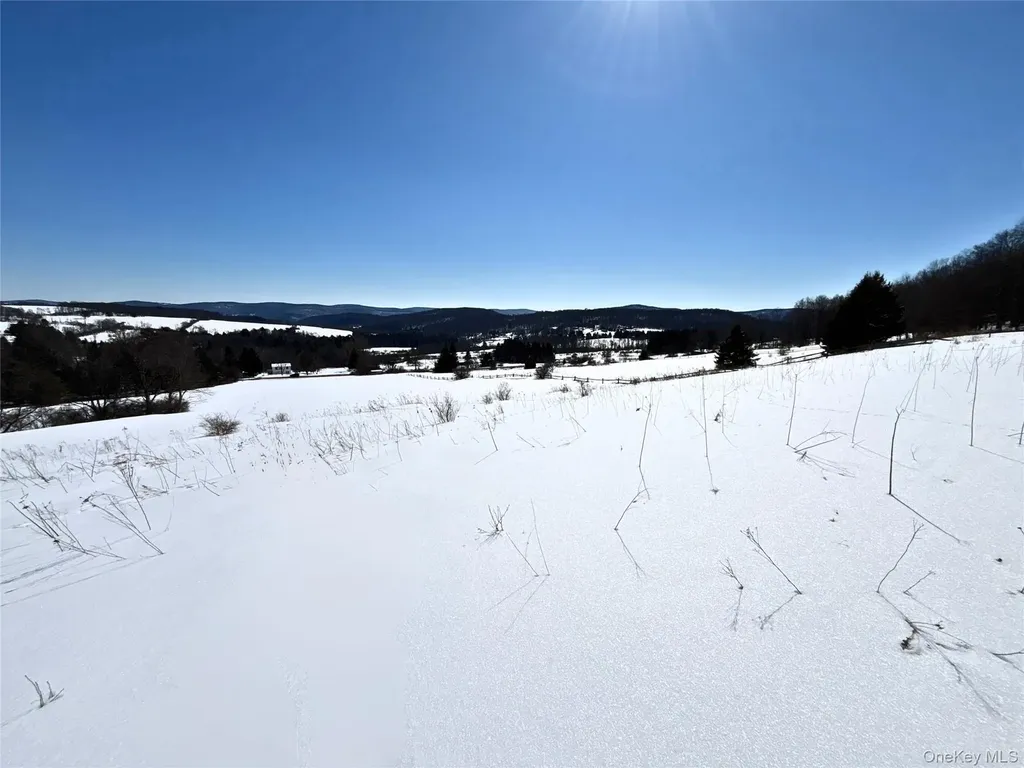 Lot 42 Hamden Hill Road Hamden NY 13782