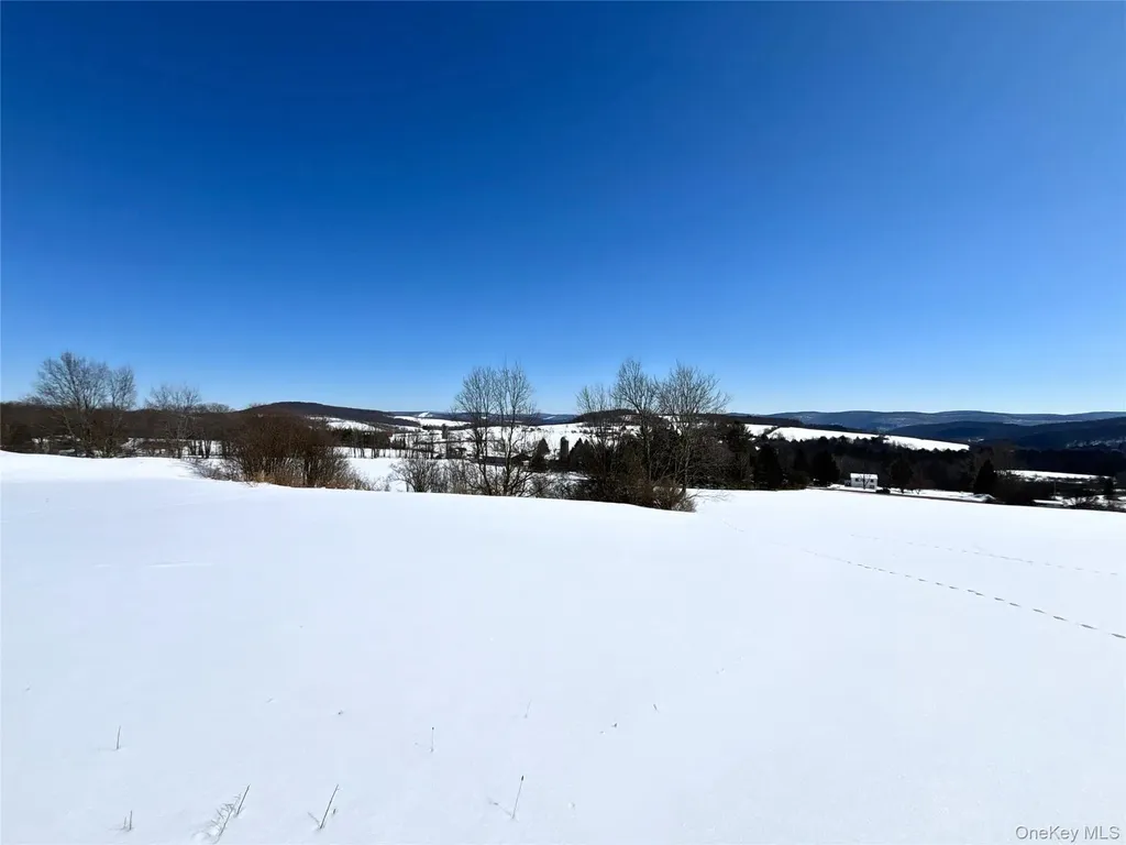 Lot 42 Hamden Hill Road Hamden NY 13782