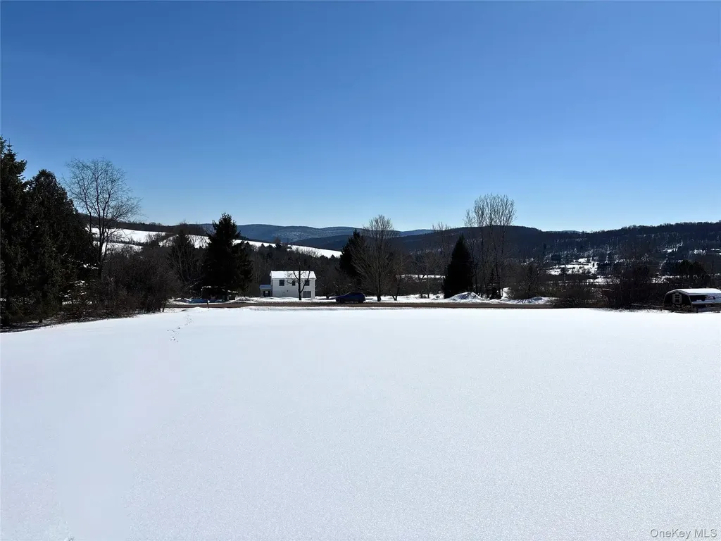 Lot 42 Hamden Hill Road Hamden NY 13782