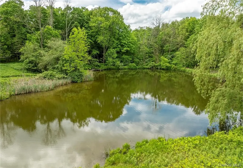 1282 Hollow Road Clinton Corners NY 12514