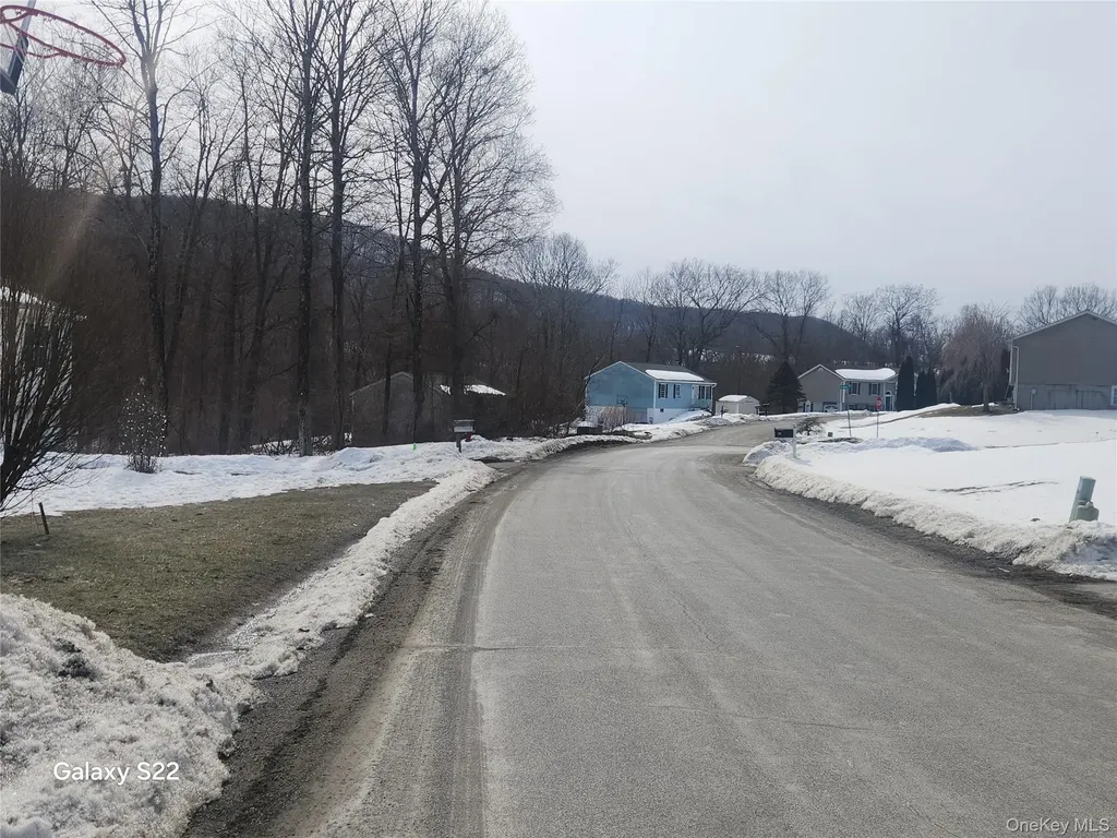 41 Holly Hill Drive Wingdale NY 12594