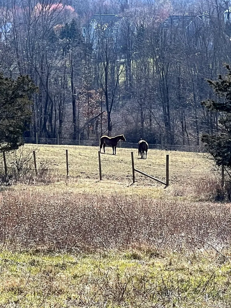 191 Forest Valley Road Pleasant Valley NY 12569