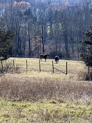 191 Forest Valley Road Pleasant Valley NY 12569