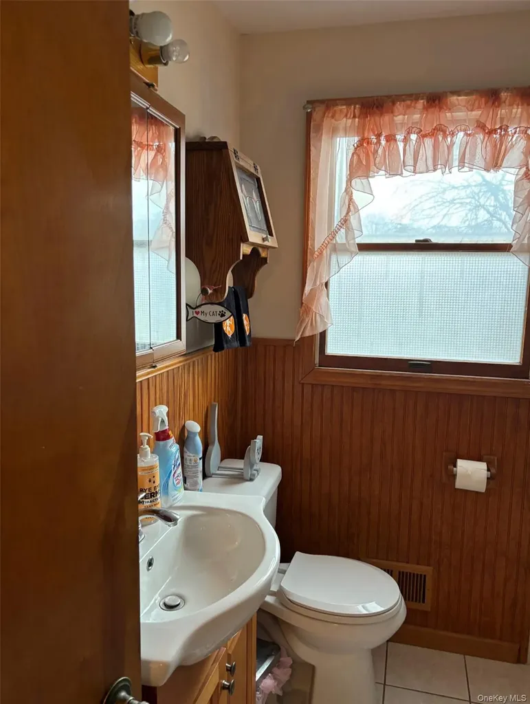33 Lakewood Avenue Ronkonkoma NY 11779