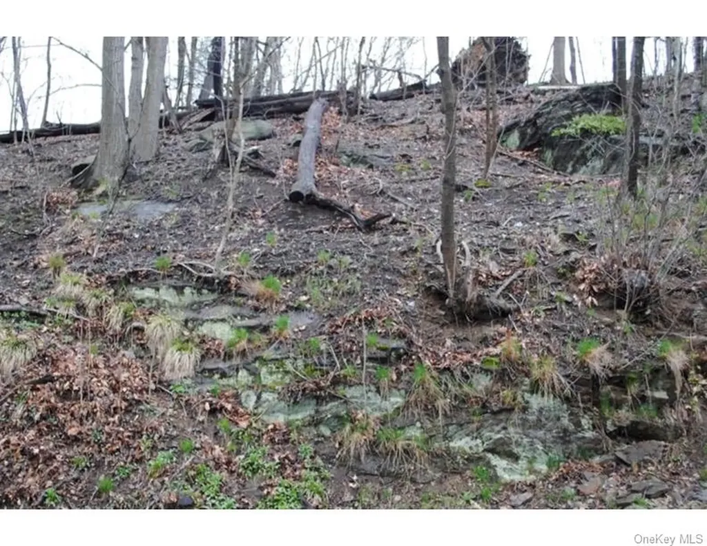 0 Ridge Road Ardsley NY 10502