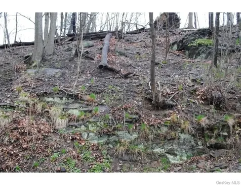 0 Ridge Road Ardsley NY 10502