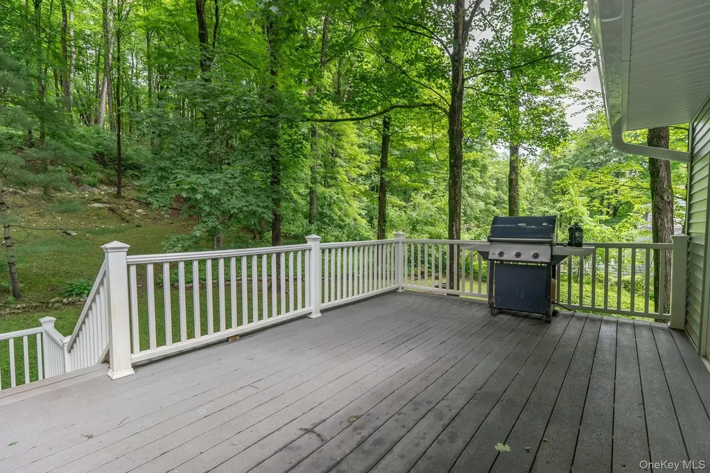 41 Mountain Drive Pleasant Valley NY 12569
