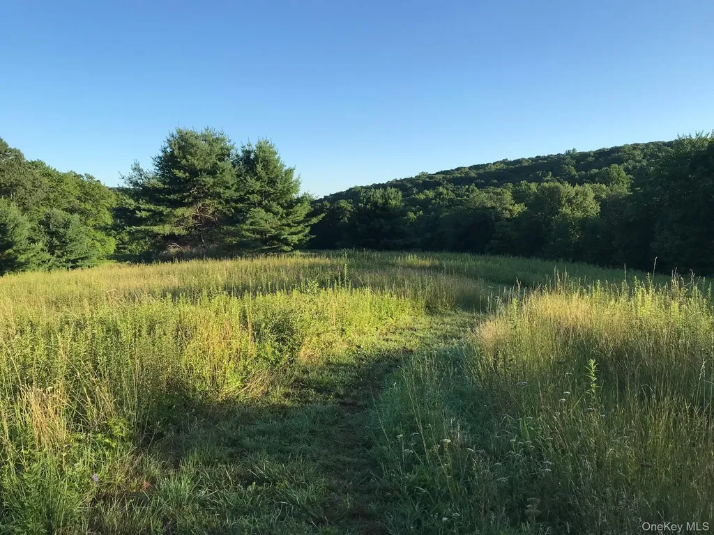 415 Sarles Street Mount Kisco NY 10549