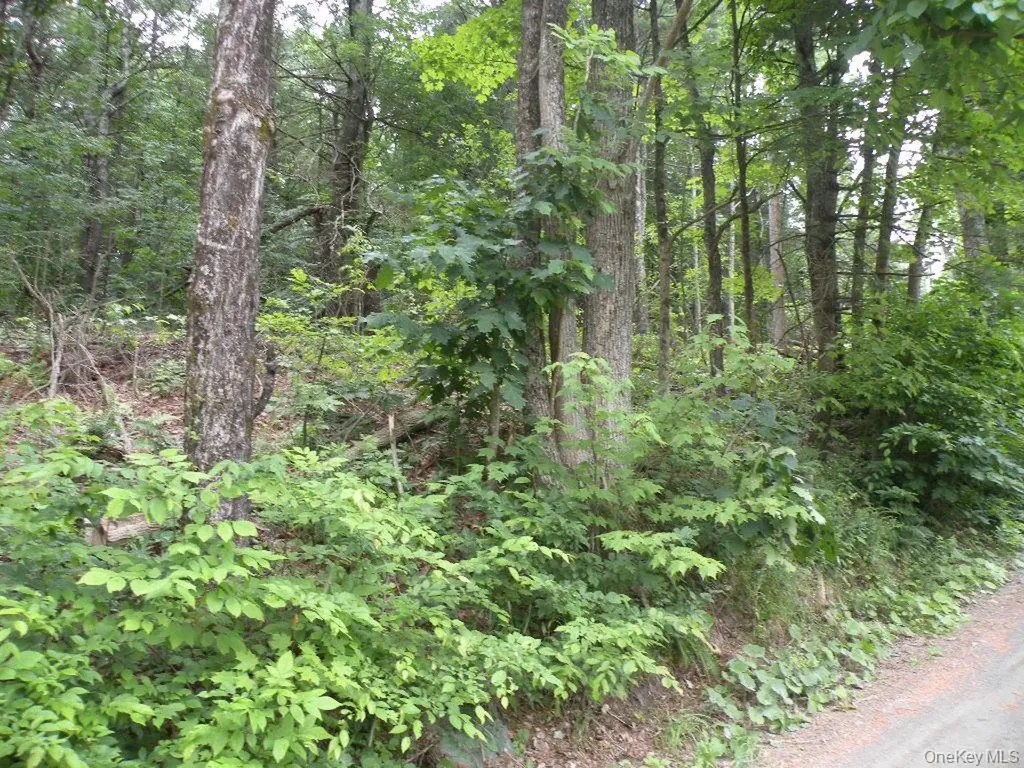 Frenchs Hill Road New Lebanon NY 12125