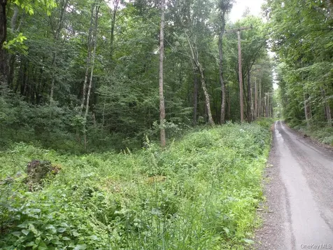 Frenchs Hill Road New Lebanon NY 12125