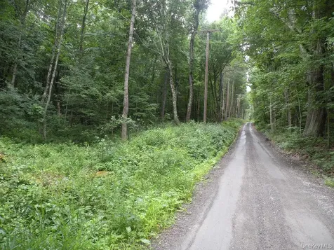 Frenchs Hill Road New Lebanon NY 12125