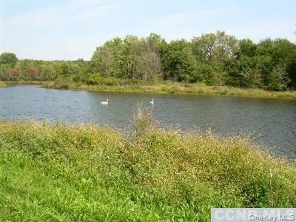 620 Bean River Road Millerton NY 12567