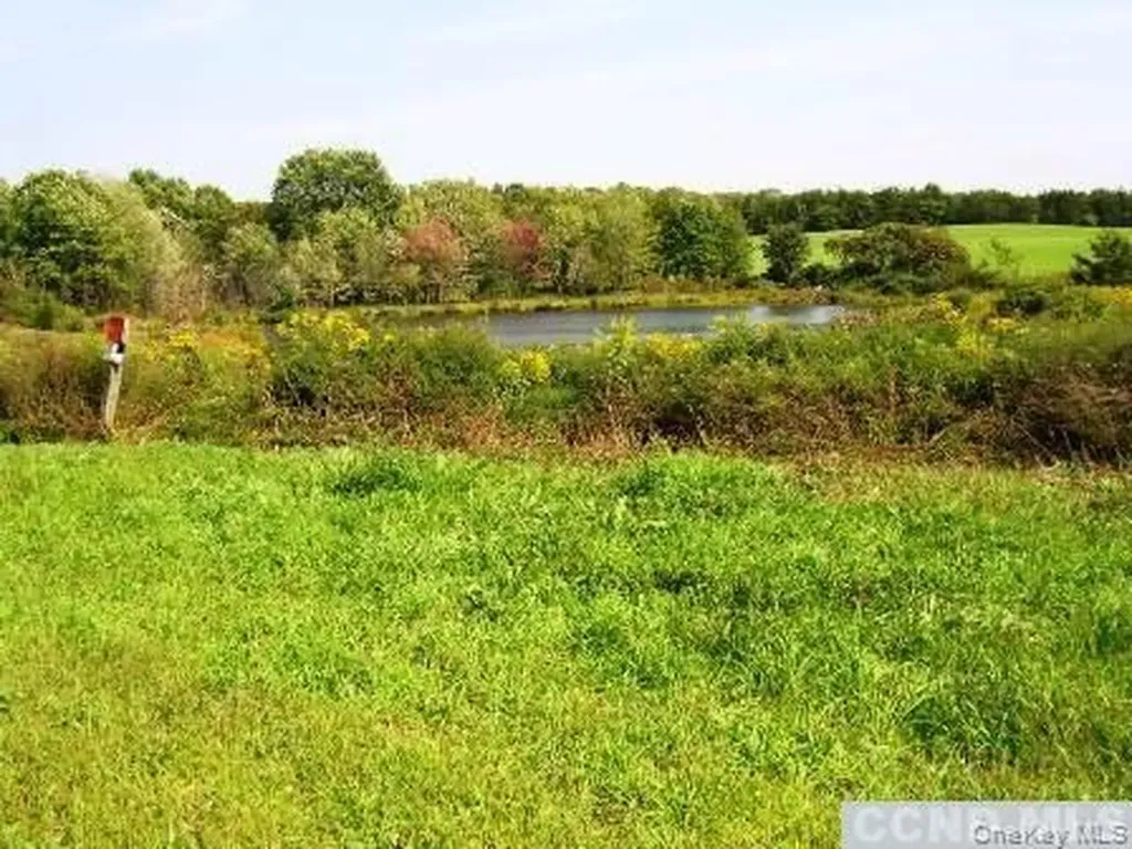 620 Bean River Road Millerton NY 12567