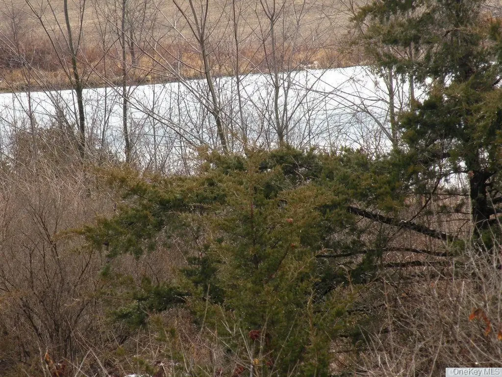 620 Bean River Road Millerton NY 12567