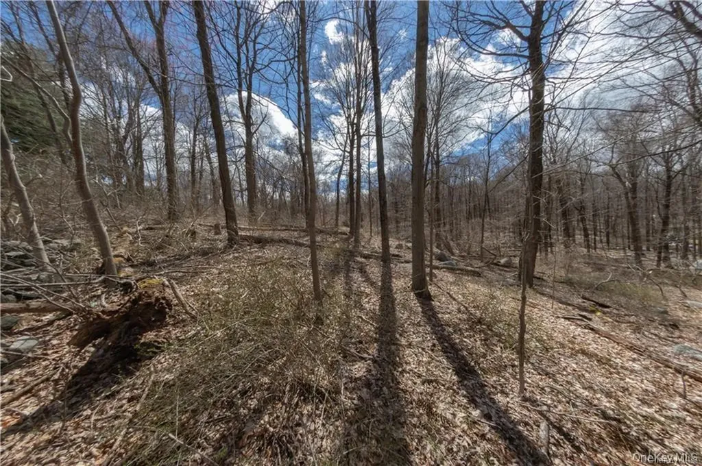 91 Sherwood Hill Road Brewster NY 10509