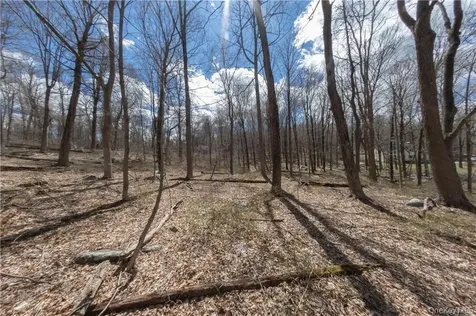 91 Sherwood Hill Road Brewster NY 10509