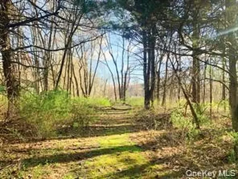 Sepasco Lake Road Rhinebeck NY 12572