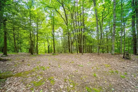 101 Red Star Road Greenfield Park NY 12435