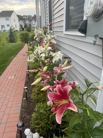 51 Lewis Road Hopewell Junction NY 12533