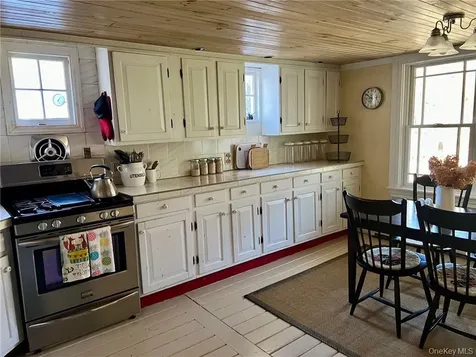 19 Mill Lane Stanfordville NY 12581