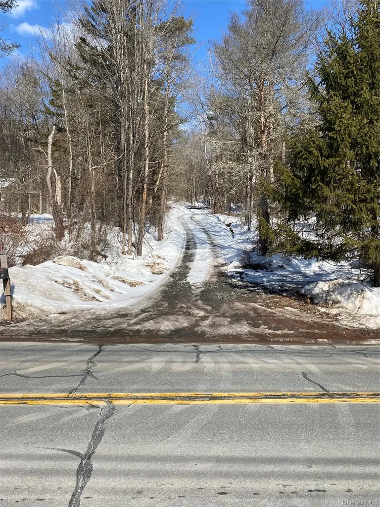 1432 Old Route 17 Roscoe NY 12776