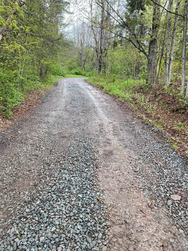 1432 Old Route 17 Roscoe NY 12776